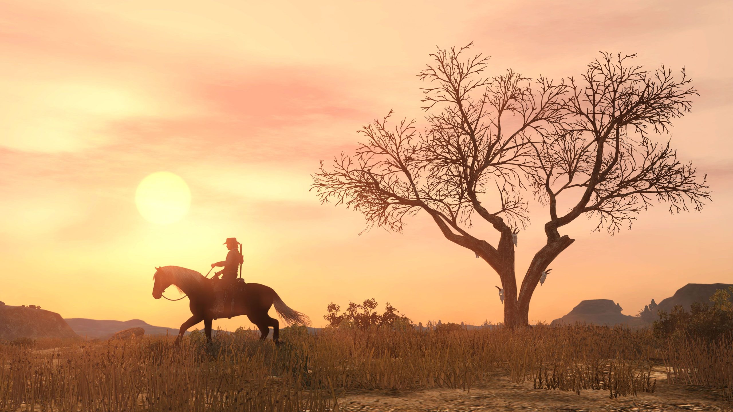 Red Dead Redemption - PS4_02